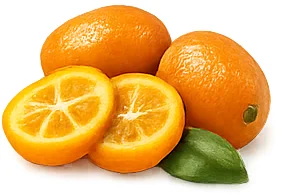 Tensilife Plus — extracto de kumquat